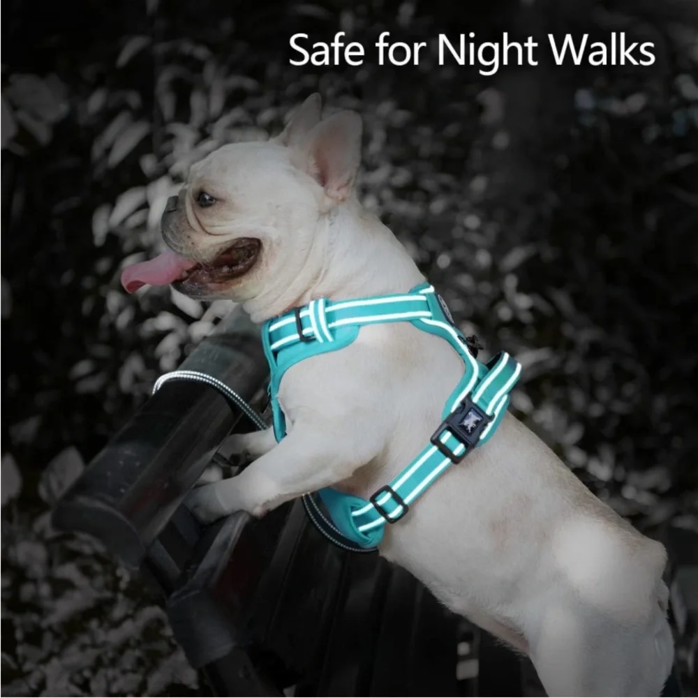 PoyPet No Pull Dog Harness, No Choke Reflective Dogs(Mint Blue Matching Trim, M)